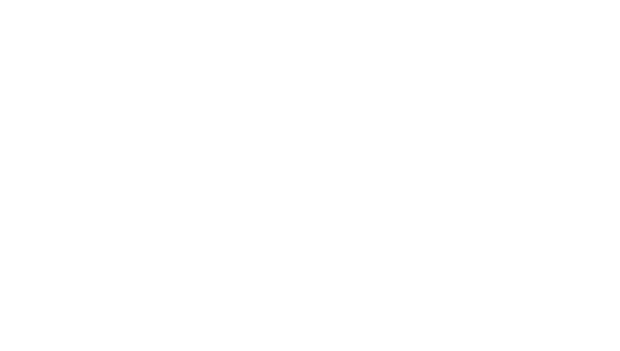 Persian Carpet AYA